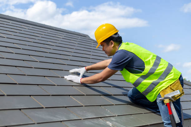Best Best Roofing Contractors  in Hector, MN