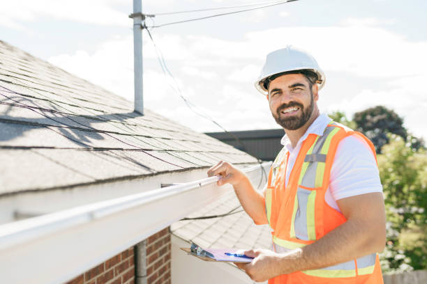 Best Residential Roofing Contractor  in Hector, MN