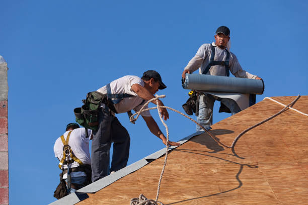 Best Roof Restoration Services  in Hector, MN