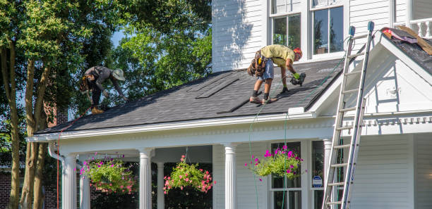 Best Commercial Roof Installation  in Hector, MN