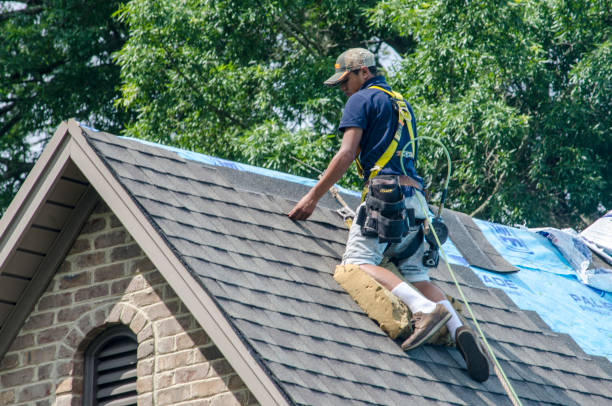 Best Shingle Roofing Installation  in Hector, MN